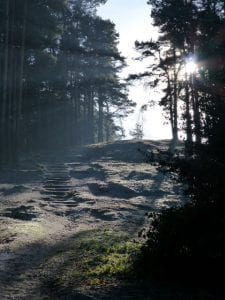 The 39 steps in the winter sun