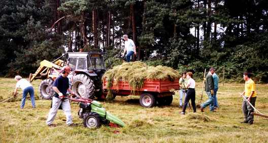 Field Days - Mowing the Green at Sullington Warren