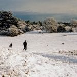 The Warren in the snow