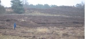 Cleared area outlined