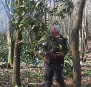 Richard carrying branches to the bonfire