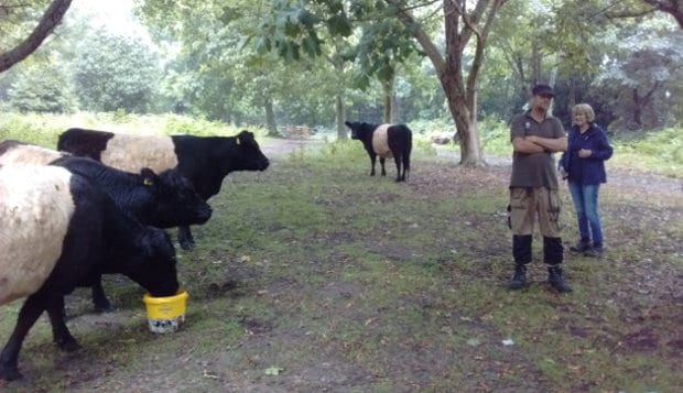 Belties looking at Andy and Alison