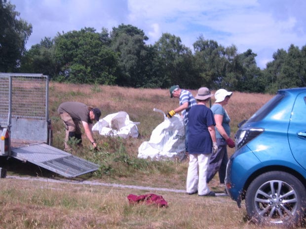 Pulling bracken and saplings