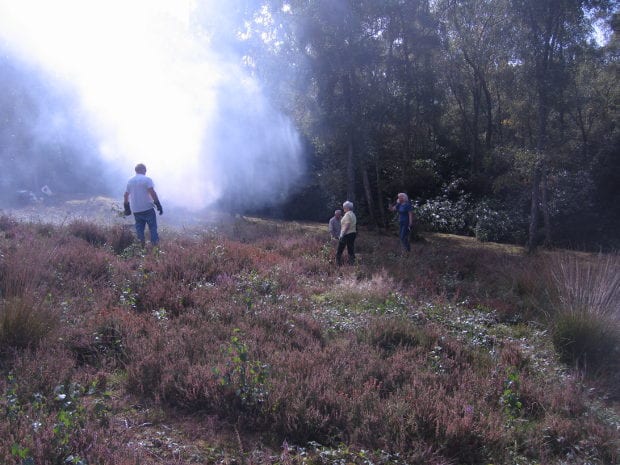 Dry heather bank with smokey bonfire in background