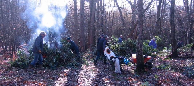 Busy volunteers