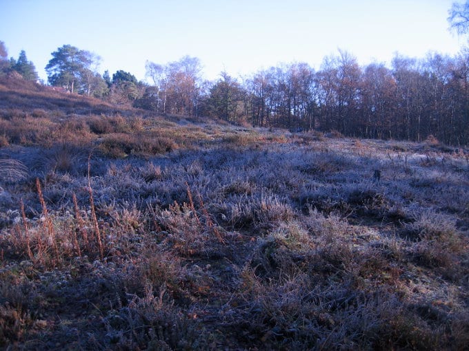Frosty morning at Sandgate Park