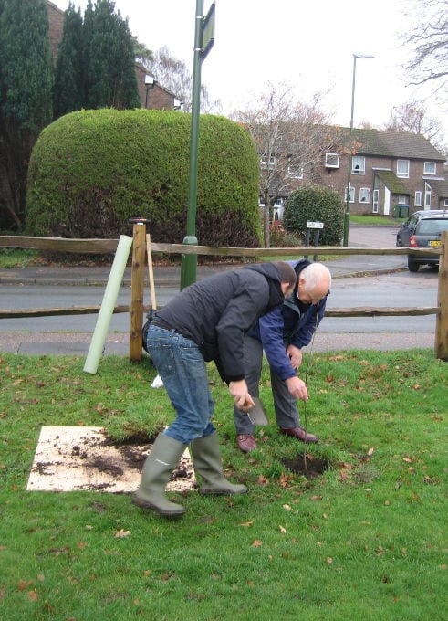 Tree planting - two man job!