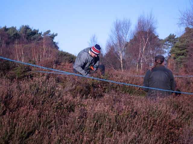 Cutting the heather