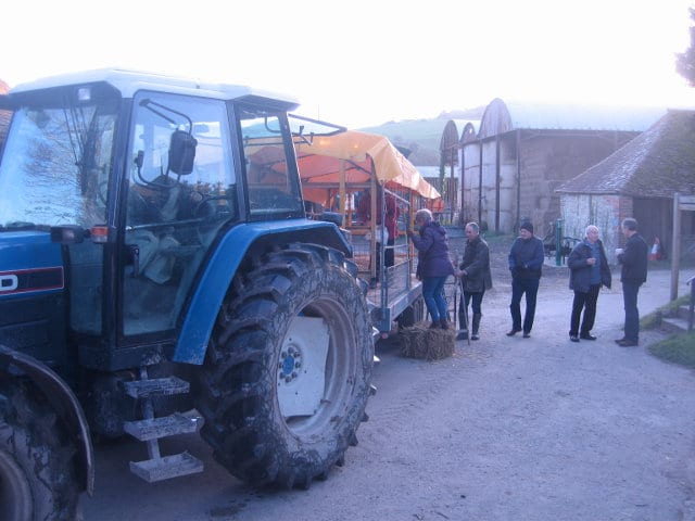 Tractor & trailer