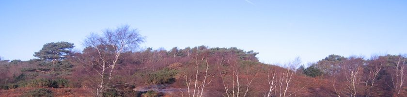 Sullington barrow