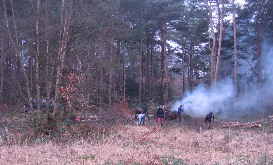 Working party viewed from wet heathland area