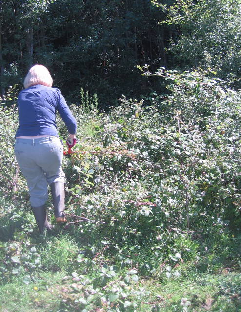 Cutting through the scrub